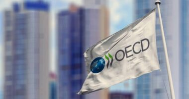 Ekonomia botërore, rezistente/ OECD rrit parashikimin në 2.9 përqind këtë vit, pavarësisht luftës