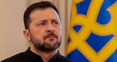 Zelensky paralajmëron kompanitë ajrore: Qielli rus po bëhet i rrezikshëm