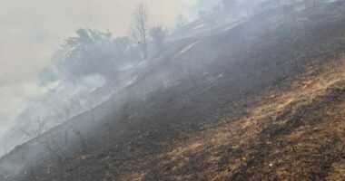 Dy vatra zjarri në Kukës, flakët përhapen në fshatin Zapod