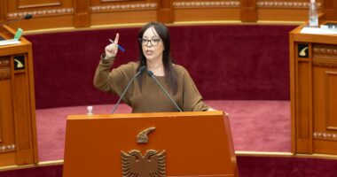 Sterilizimi, në administrim nga shteti/ Ministrja Spahiu: Shteti mund ta ofrojë vetë këtë shërbim