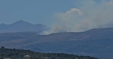 Vlorë/ Zjarr në malin e Shashicës, flakët përhapen me shpejtësi nga era