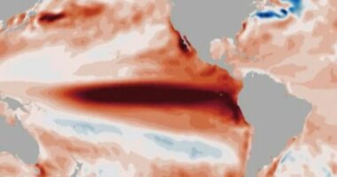 Paralajmërimi për fenomenin “El Niño”, britanikëve u kërkohet të kenë rezerva ushqimore dhe ujë në shtëpi