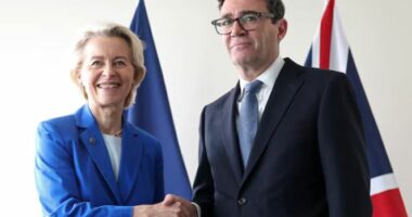 BE i kërkon Britanisë së Madhe të rrisë tarifat për makinat kineze