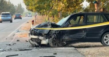 Aksident i rëndë në aksin Levan-Tepelenë, humb jetën 55-vjeçari