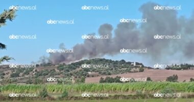 Fier/ Shuhet zjarri pranë Parkut Arkeologjik të Apolonisë, arrestohen dy banorë për zjarrvënie
