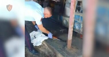 Armë zjarri dhe municion luftarak në banesë/ Arrestohet 64-vjeçari në Fier