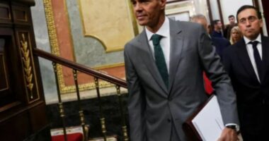 Sanchez: Nuk ka prova se Maroku planifikoi dyndjen e emigrantëve drejt Ceutës