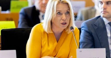 Brukseli propozon taksë dixhitale e cila mund të sjellë 25 miliardë euro në vit