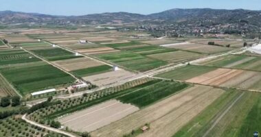 Krijohet bursa bujqësore/ Salla: Treg më i sigurt dhe çmime më të favorshme