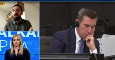 “Specialja kriminalizoi procesin”, Shala: Pa ikur Kurti nga pushteti, beteja në Hagë është e humbur