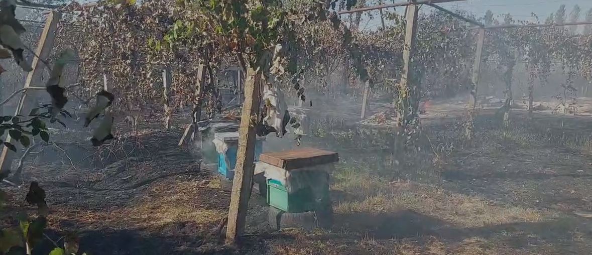 zjarr-ne-droje-te-kurbinit-digjen-disa-koshere-bletesh-flaket-u-afrohen-banesave