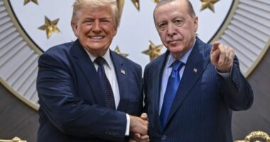 Trump për Erdoganin: Nuk duhet të ngatërroheni me të, është i fortë