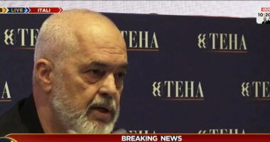 “Integrimi gradual, mënyra e vetme drejt BE”/ Rama: Heqja e vetos, më e mira për Europën