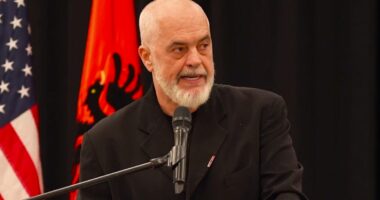 Rama takim me Diasporën Detroit/ Kryeministri: Flamingo u bë simboli i një Shqipërie që po shihet ndryshe nga Diaspora