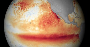 El Niño drejt rekordit historik/ 90 për qind shanse për një fenomen ekstrem, frikë për rritjen e çmimeve të ushqimeve