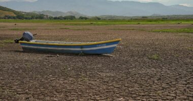 El Niño thyen rekordin e temperaturave, “The Guardian”: Ekspertët paralajmërojnë ndikime të forta globale
