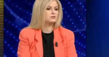 “Akuzat janë në aspekt individual”, gazetarja: Vlora Hyseni është vetëdorëzuar, biletën e kthimit e kishte në datë 23 …