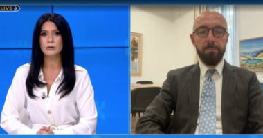 “Pasqyra e çmimeve” në funksion nga 1 tetori/ Musabelliu: Platforma synon transparencë. Po shqyrtojmë edhe zinxhirin e furnizimit