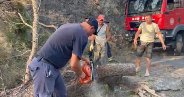 Bllokohet përkohësisht kalimi në aksin Levan-Fier, shkak pishat e dëmtuara nga zjarri