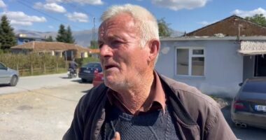 Plagosja me thikë në Maliq, banori tregon çfarë ndodhi mes kushërinjve: Konflikti nisi për bagëtitë