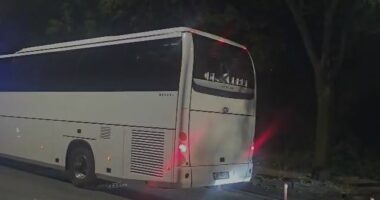 Dhunë pas ndeshjes/ Tifozët e Vllaznisë godasin autobusin e ekipit të Teutës, thyejnë xhamat