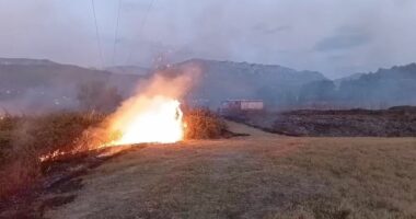 Riaktivizohet zjarri në Derven të Krujës, zjarrfikësit rikthehen në terren