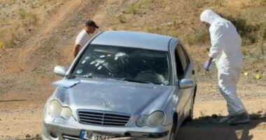 Vrasja e Viktor Bardhit, ende pa autor/ Vendi ku u ekzekutua 65-vjeçari pa kamera sigurie