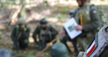 Trupat ukrainase stërviten në Poloni me instruktorë francezë