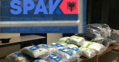 Arrestohet në Rusi Shpëtim Aliu, i kërkuar nga SPAK për trafikimin e 50 tonëve kokainë
