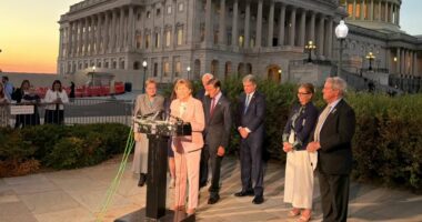Kongresi amerikan miraton ligjin për sanksione gjithëpërfshirëse ndaj Rusisë