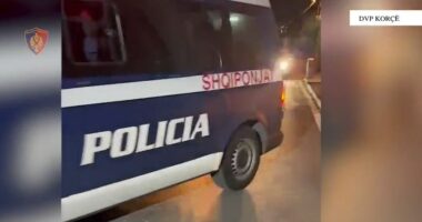 EMRAT/ Transportonin kanabis, në pranga 3 persona në Korçë