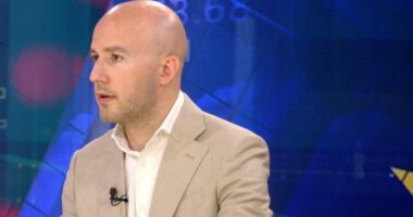 “Nëse arrijmë ‘afatin’ 2030, është rekord”, Krisafi: Integrimi në BE, kriteret teknike janë serioze