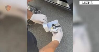 VIDEO/ Arrestohen 2 persona në Laç, kapen 80 doza kokainë