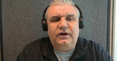 Sa e përdorin bizneset inteligjencën artificiale? Nako: Duhen ngritur struktura edukimi. Ndihmon që ekonomia të thithë investime