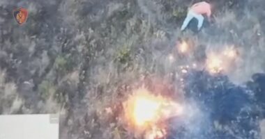 Ndezi zjarrin në Petë të Vlorës, arrestohet 52-vjeçari, në kërkim vëllai dhe kushëriri i tij