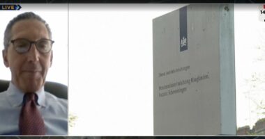 “Serbia kërkon të pengojë integrimin e Malit të Zi”/ Sulmet hibride, Edward P. Joseph: Shqipëria në shënjestër të Iranit