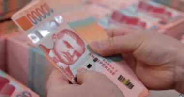 Bizneset, më shumë kredi për investime/ BSH: Udhëheqin ndërtimi, tregtia e shërbimet