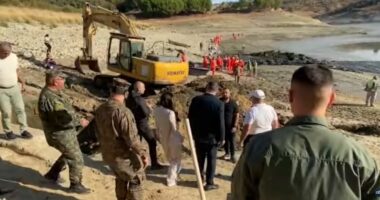 Masakër mjedisore në Lushnje. Tonelata peshq në baltë pas tharjes së rezervuarit. Ende s’ka “fajtorë”
