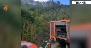 VIDEO/ Dyshohen për zjarrvënie në Kombinat dhe fshatin Prush, dy të arrestuar në Tiranë