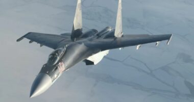 Dy aeroplanë luftarakë Su-35S përplasën në rajonin e Kurskut, një pilot humb jetën