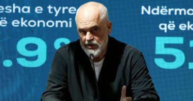“Aplikimet në e-Albania rriten me 40 përqind”/ Rama: Programi i AI i detyruar për administratën