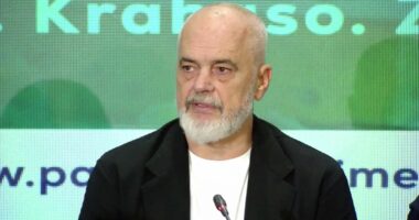 “Euro e dobët, duhet reflektim te çmimet”/ Rama: Nuk do t’ju prekim fitimet, por çdo gjë ka kufi
