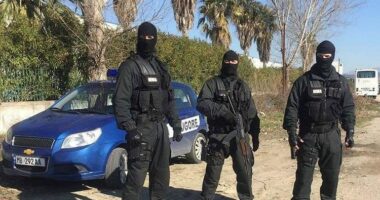 Të shtënat gjatë aksionit antikanabis në Krujë/ Policia: Efektivi qëlloi në ajër për të larguar kafshët e egra të pyllit