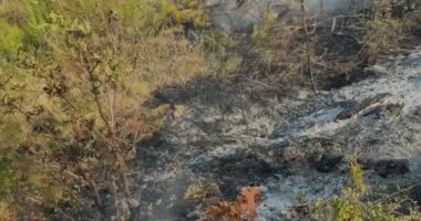 VIDEO/ Riaktivizohet vatra e zjarrit në Çërrilë të Mallakastrës, digjet pylli me pisha