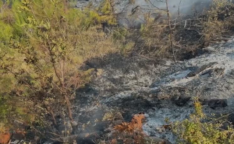 VIDEO/ Riaktivizohet vatra e zjarrit në Çërrilë të Mallakastrës, digjet pylli me pisha