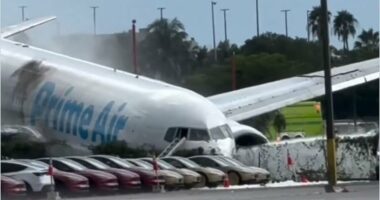 Gjenden kutitë e zeza të avionit/ Aksidenti në SHBA, pritet ekspertiza për shkaqet