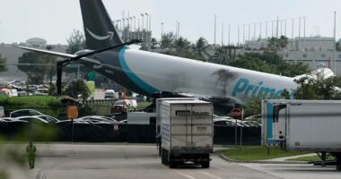 Rrëzohet avioni në SHBA/ Aksidenti në Miami, 5 persona humbën jetën