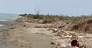 Bombë ekologjike në Seman/ Ndotja në deltën e Semanit po depërton në thellësi të tokës ranore