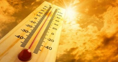 Alarm për zjarret, 5 qarqe në rrezik të lartë gjatë dy ditëve