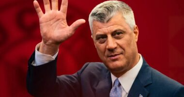 Hashim Thaçi falënderon qytetarët për mbështetjen e jashtëzakonshme, bën thirrje për qetësi